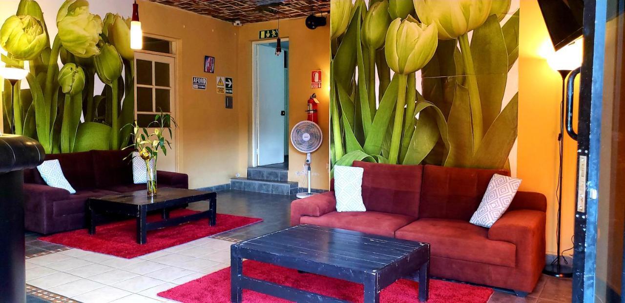 Hotel Ollanta Ica Bagian luar foto